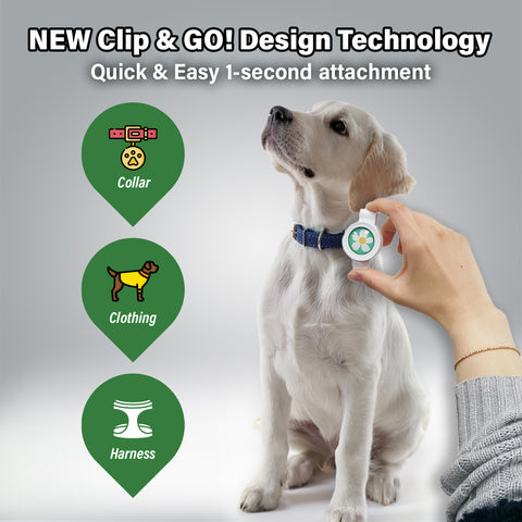 Aegis Bug-Off Clip, Natural flea and tick prevention for dogs, Repelling Flea, Tick & Mosquito