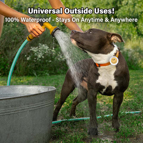 Aegis Bug-Off Clip, Natural flea and tick prevention for dogs, Repelling Flea, Tick & Mosquito