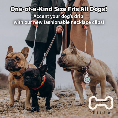 Aegis Bug-Off Clip, Natural flea and tick prevention for dogs, Repelling Flea, Tick & Mosquito